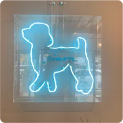 アクリルのボックスに入った犬の形のネオン看板