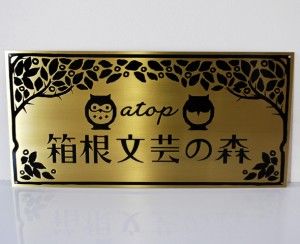 a-topsama2